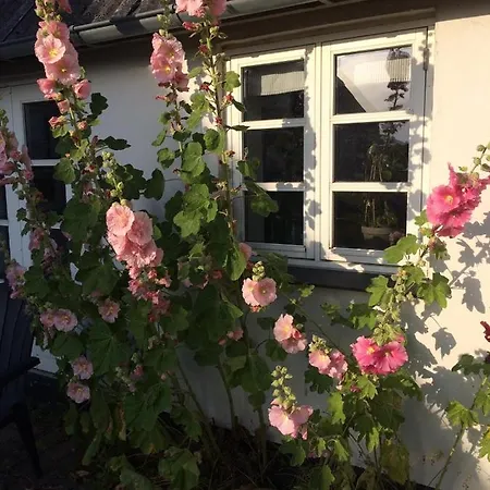 Aasesminde Bed & Breakfast