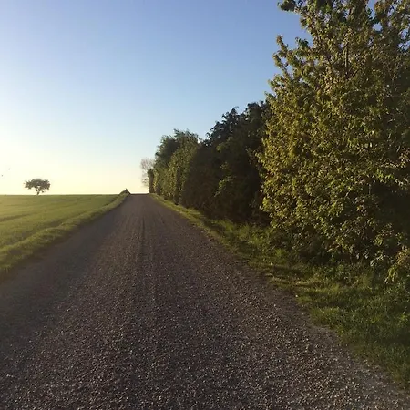 Aasesminde Bed and Breakfast