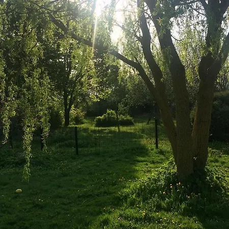 Bed and Breakfast Aasesminde *