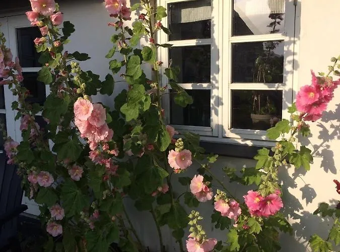 Aasesminde Couette-café