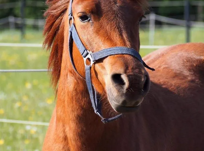 Aasesminde Couette-café *